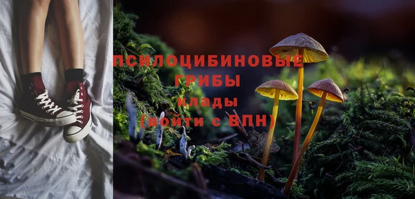apvp Арсеньев