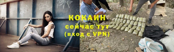 apvp Арсеньев